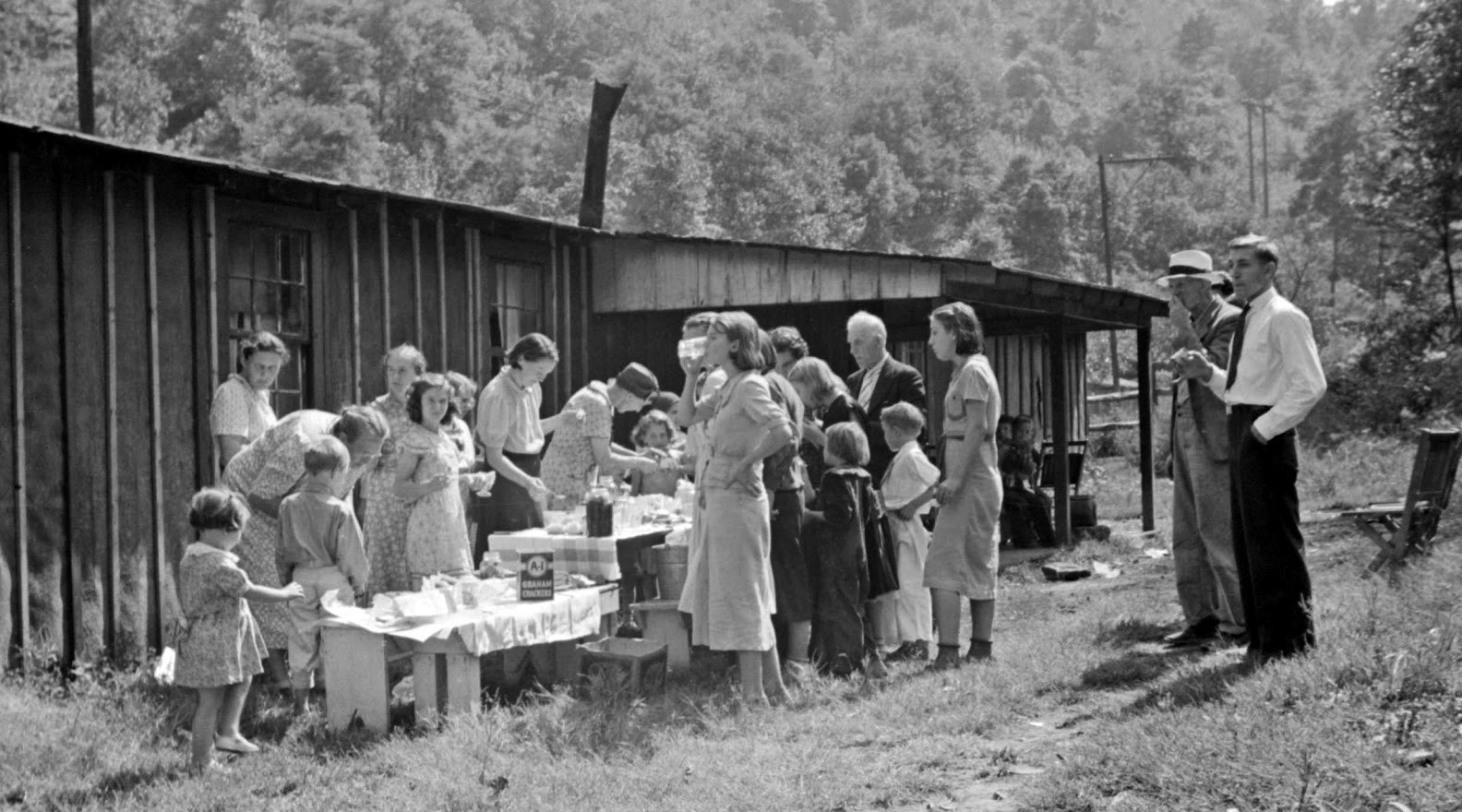 Picnics Aren't Always a Picnic