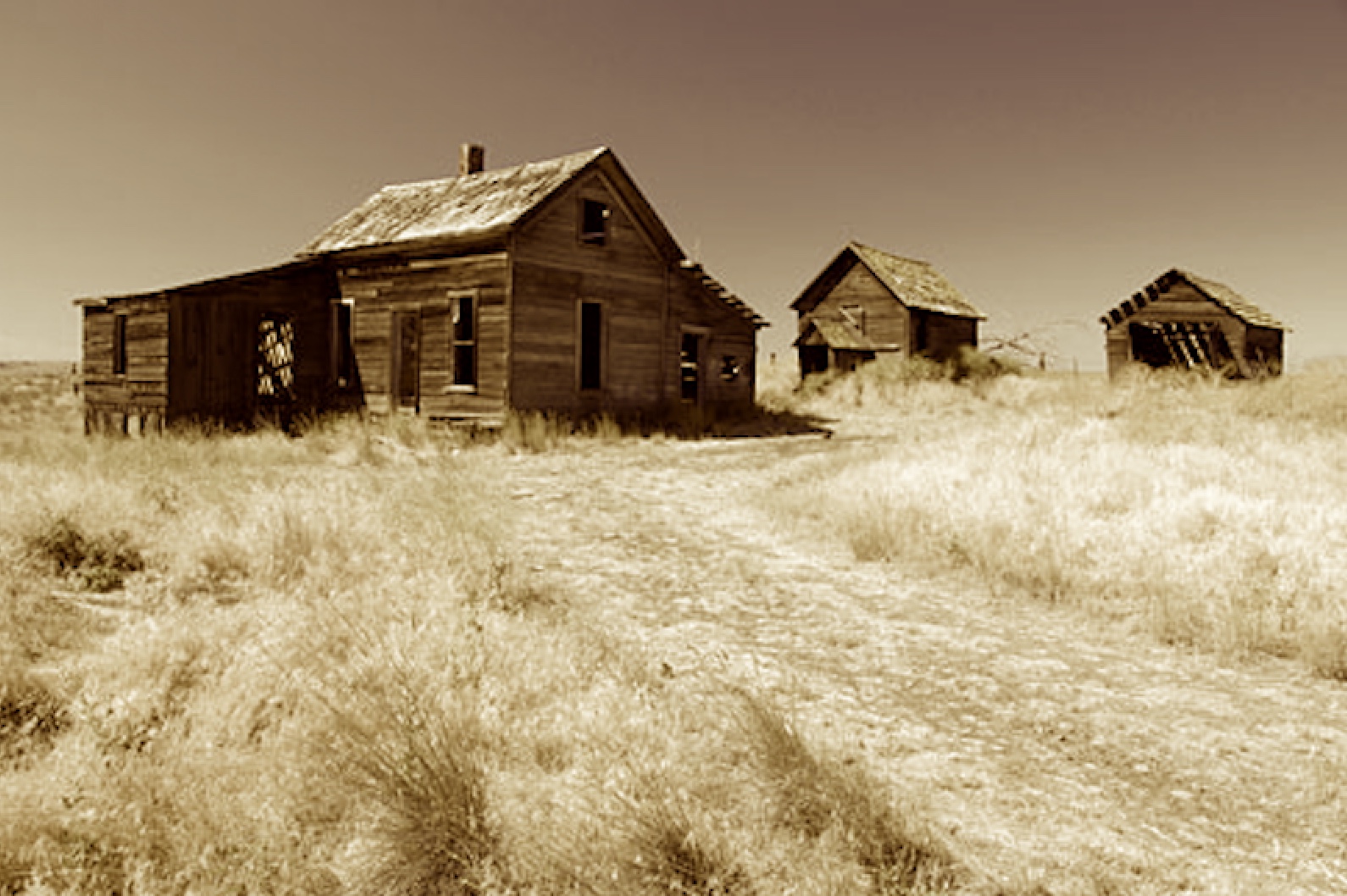 A Homestead